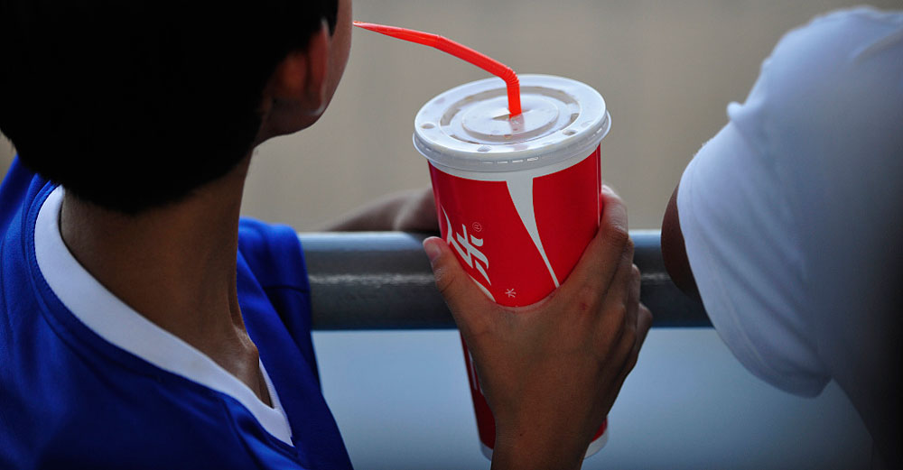 biopolymer.vn chinabanstraw