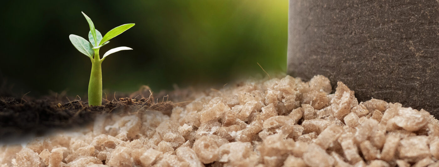 Biopolymer - nguyên liệu bio-based