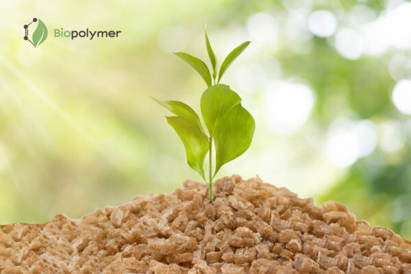 Hạt nhựa phân huỷ sinh học cà phê Biopolymer