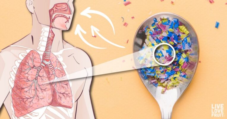 Tác hại của vi nhựa khi con người hít phải chúng