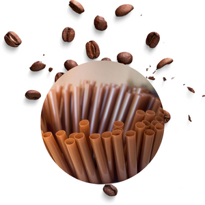 biopolymer.vn Giá ống hút sinh học cà phê