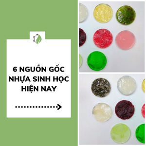 biopolymer.vn 6 nguồn gốc nhựa sinh học hiện nay