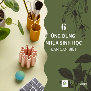 biopolymer.vn 6 ứng dụng nhựa sinh học bạn cần biết