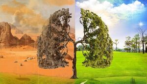 biopolymer.vn Nguyên liệu thay thế nhựa