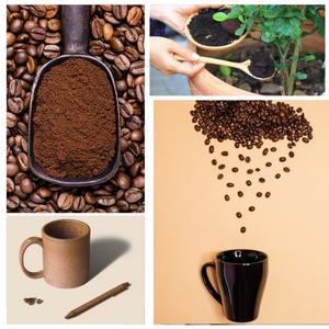 biopolymer.vn 10 ứng dụng bã cà phê có thể bạn chưa biết đến