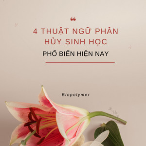 biopolymer.vn 4 thuật ngữ phân hủy sinh học hiện nay