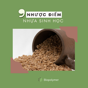 biopolymer.vn 9 Nhược điểm từ nhựa sinh bạn có thể chưa biết