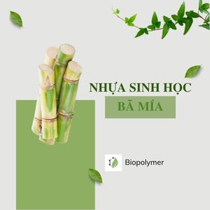 biopolymer.vn Nhựa sinh học bã mía có thật sự phân hủy sinh học