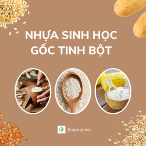 biopolymer.vn Nhựa sinh học gốc tinh bột