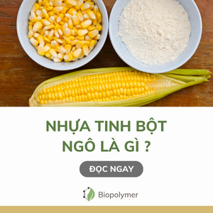 biopolymer.vn Nhựa tinh bột ngô