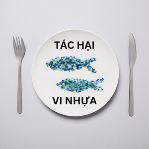 biopolymer.vn Tác hại của vi nhựa