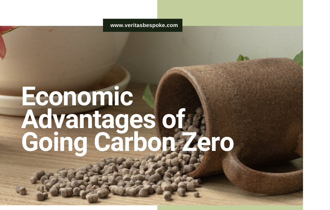 CARBON ZERO