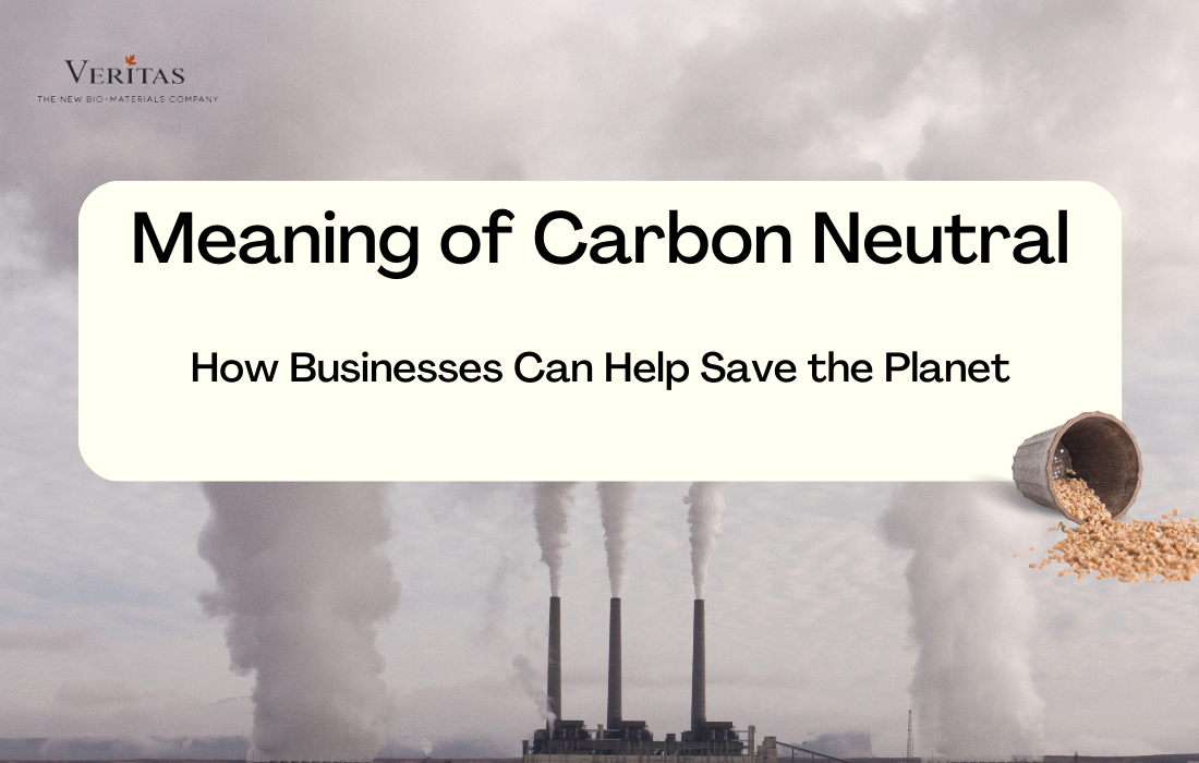 ý nghĩa của trung hòa carbon