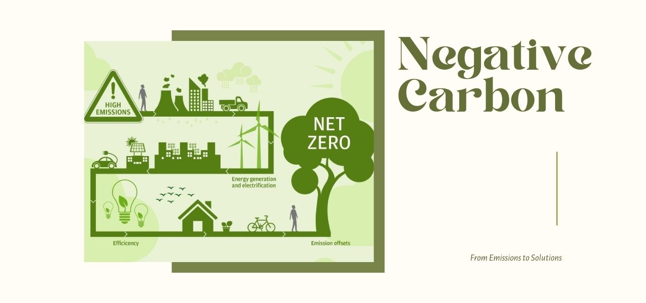 biopolymer.vn Vật liệu carbon âm tính trong vai trò thu hồi và lưu giữ carbon từ không khí